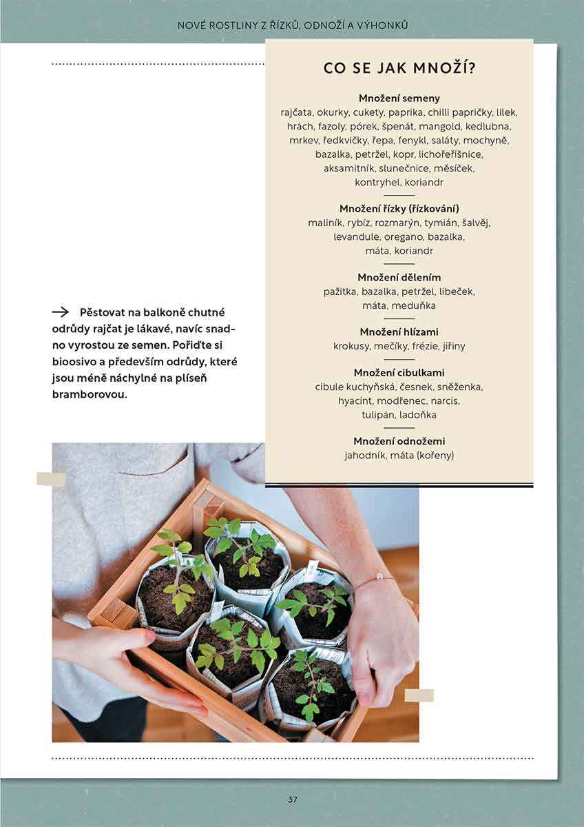 Foto: Nakladatelství KAZDA