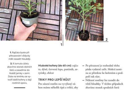 Obsah knihy Vyvýšené záhony na balkoně