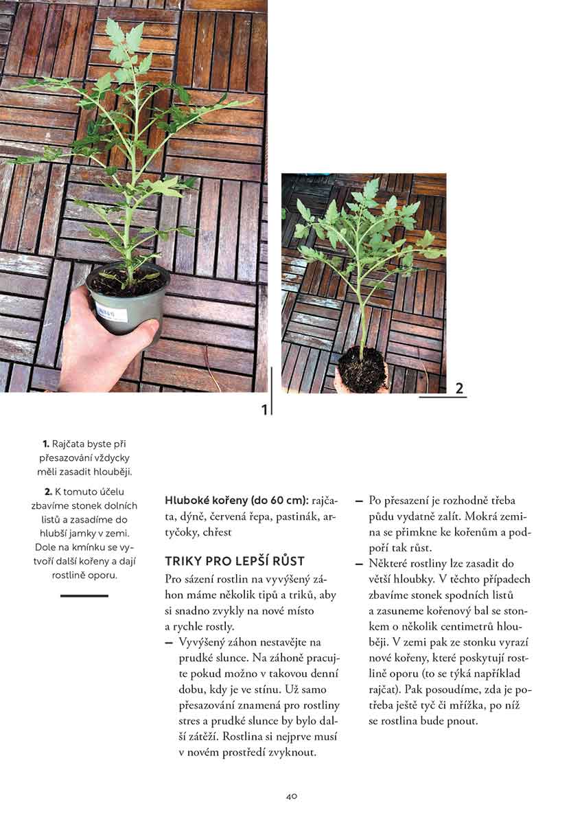 Foto: Nakladatelství KAZDA