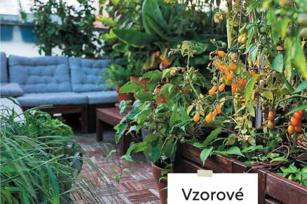 Obsah knihy Vyvýšené záhony na balkoně