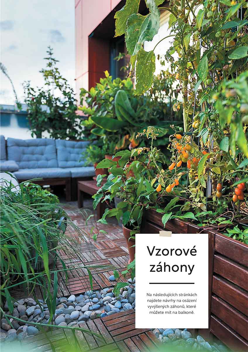 Foto: Nakladatelství KAZDA