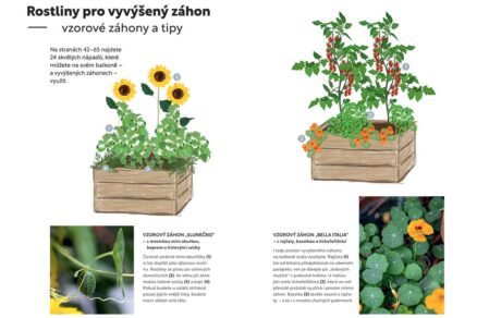 Obsah knihy Vyvýšené záhony na balkoně