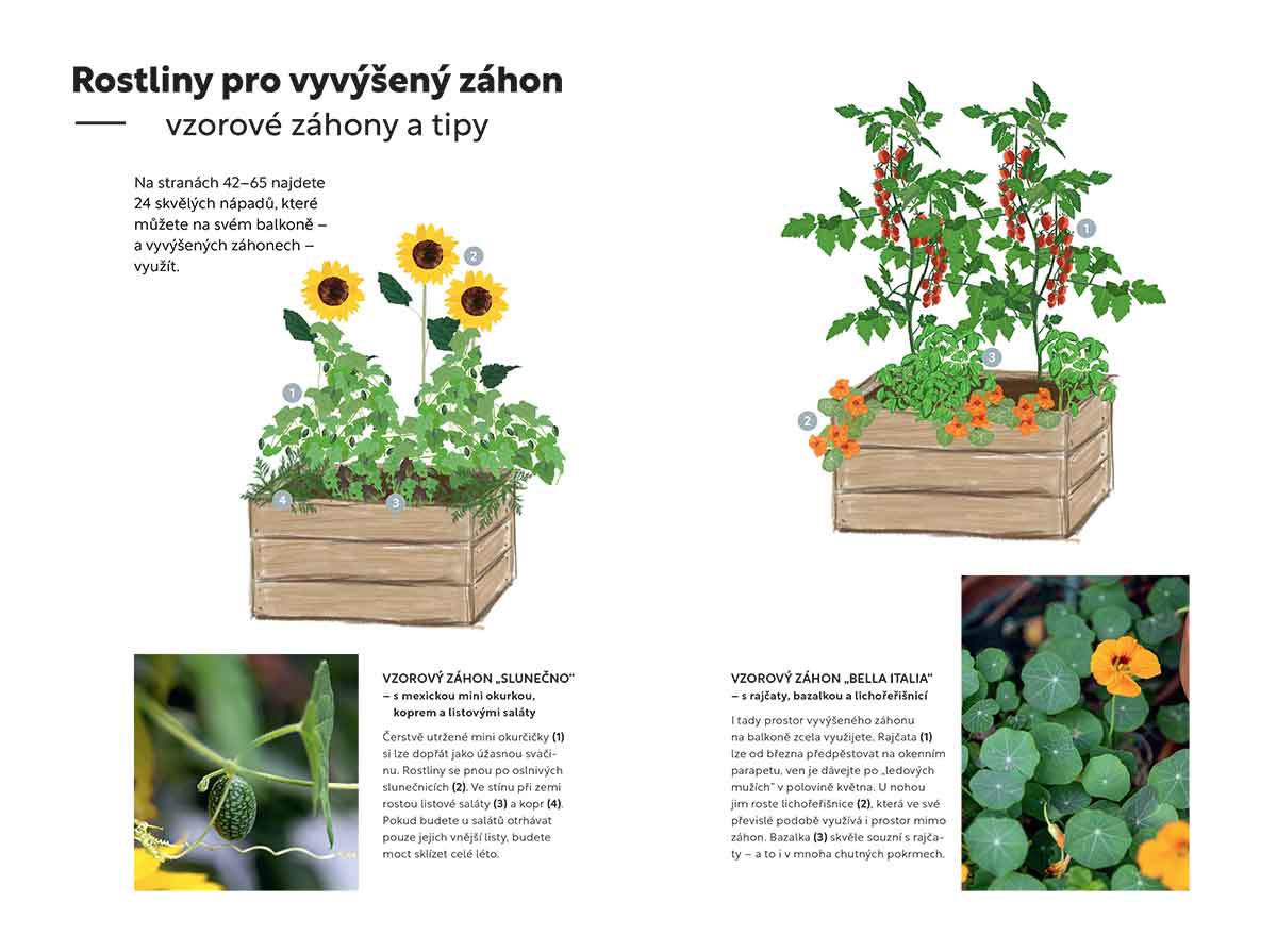 Foto: Nakladatelství KAZDA