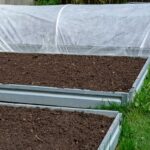 Biela netkaná textília na záhone proti fúzavke cesnakovej