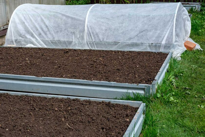 Biela netkaná textília na záhone proti fúzavke cesnakovej