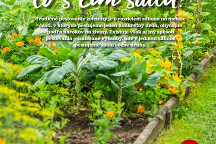 Článok Čo s čím sadiť