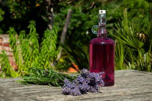 Radíme: Ktorá levanduľa je vhodná na kuchynské spracovanie + 3 tipy na odrody