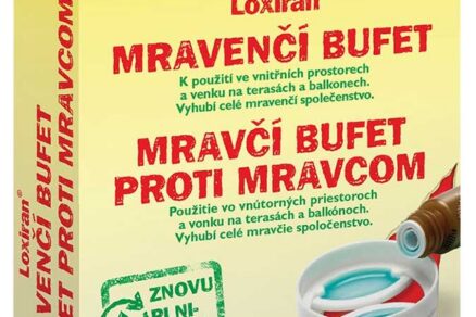 Loxiran mravčí bufet