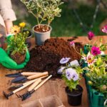 Sadenie kvetov so záhradníckym substrátom