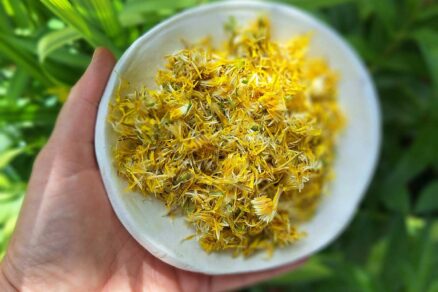 Okvetné lístky púpavy v miske