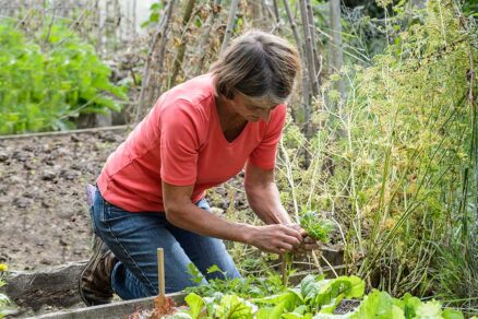 Pestovanie v malom záhone s rozlohou jeden štvorcový meter