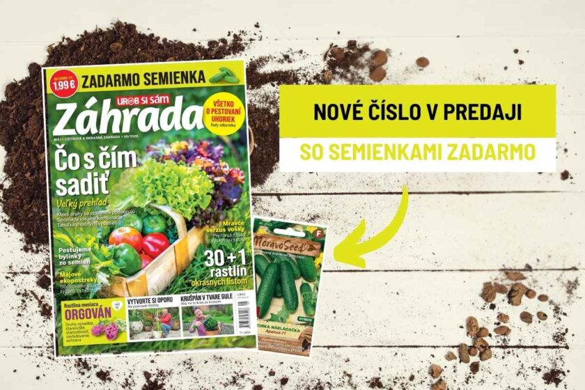 Časopis Záhrada 05/2026
