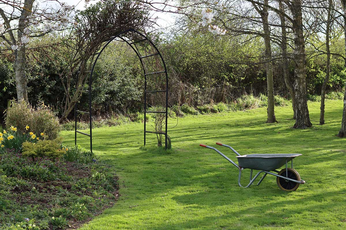 Stará a nudná záhrada, ktorá potrebuje zmenu