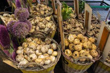 Trh s tulipánovými cibuľkami