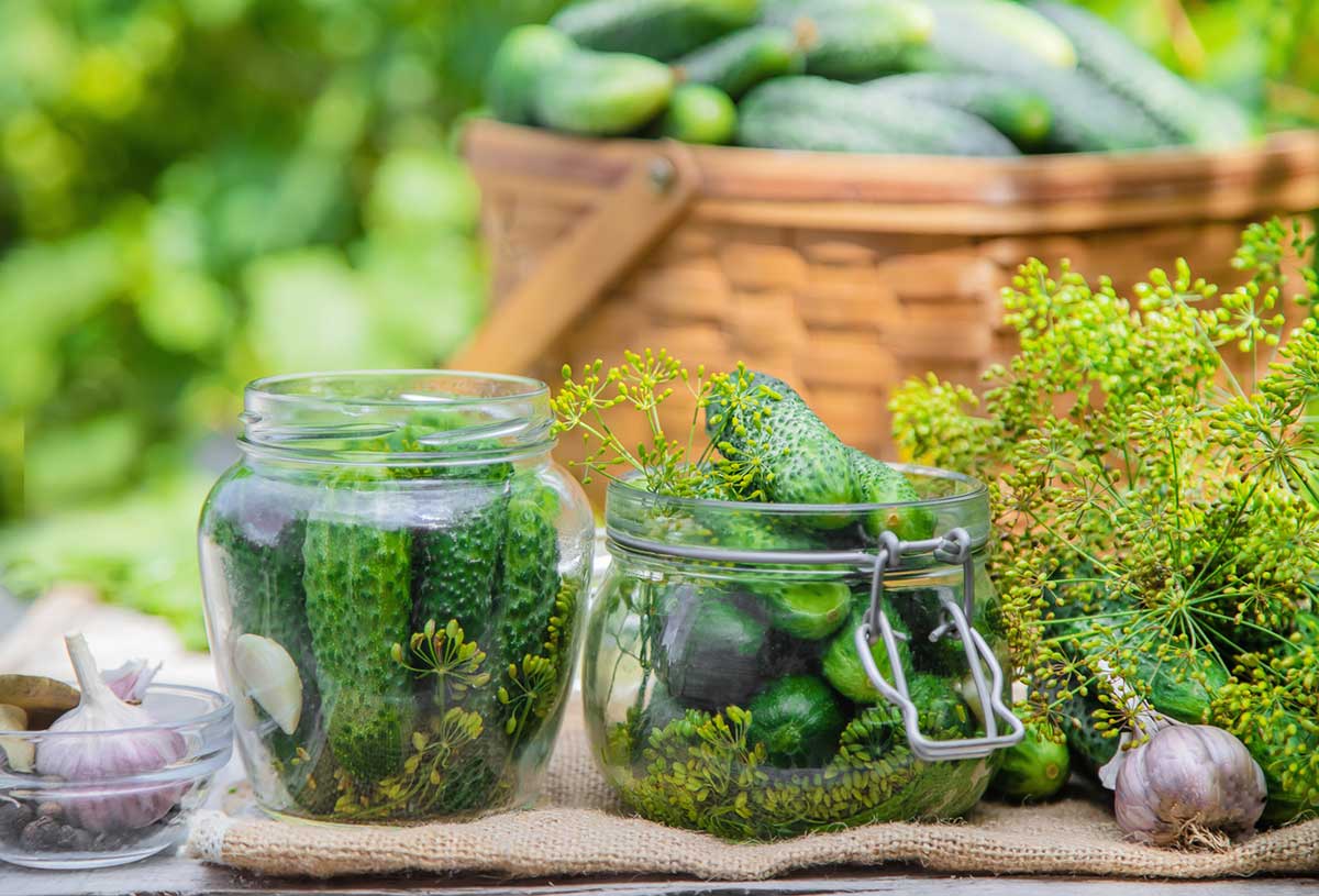 Príprava uhoriek, kôpru a cesnaku na zaváranie do sklenených pohárov