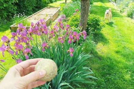 Pestovanie vo vyvýšenom záhone záhradkárky Moniky