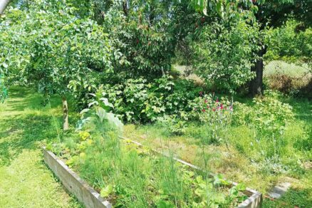 Jeden z vyvýšených záhonov v záhrade