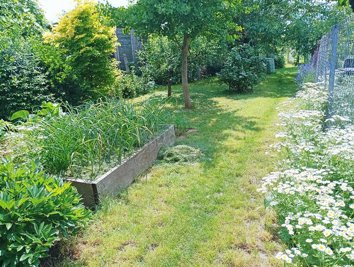 Rozdiel v životnosti je naozaj markantný – kým prvý záhon stojí dodnes, štvrtý sa celkom rozpadol a druhý a tretí som už obnovovala. Foto: archív autorky