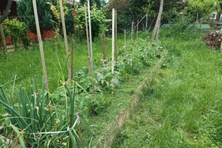 Vyvýšený záhon s betónovými stĺpmi