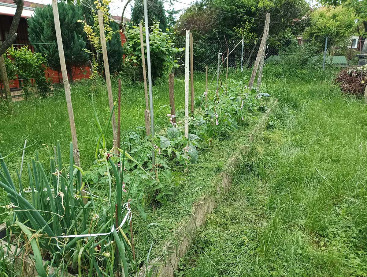 Vyvýšený záhon s betónovými stĺpmi