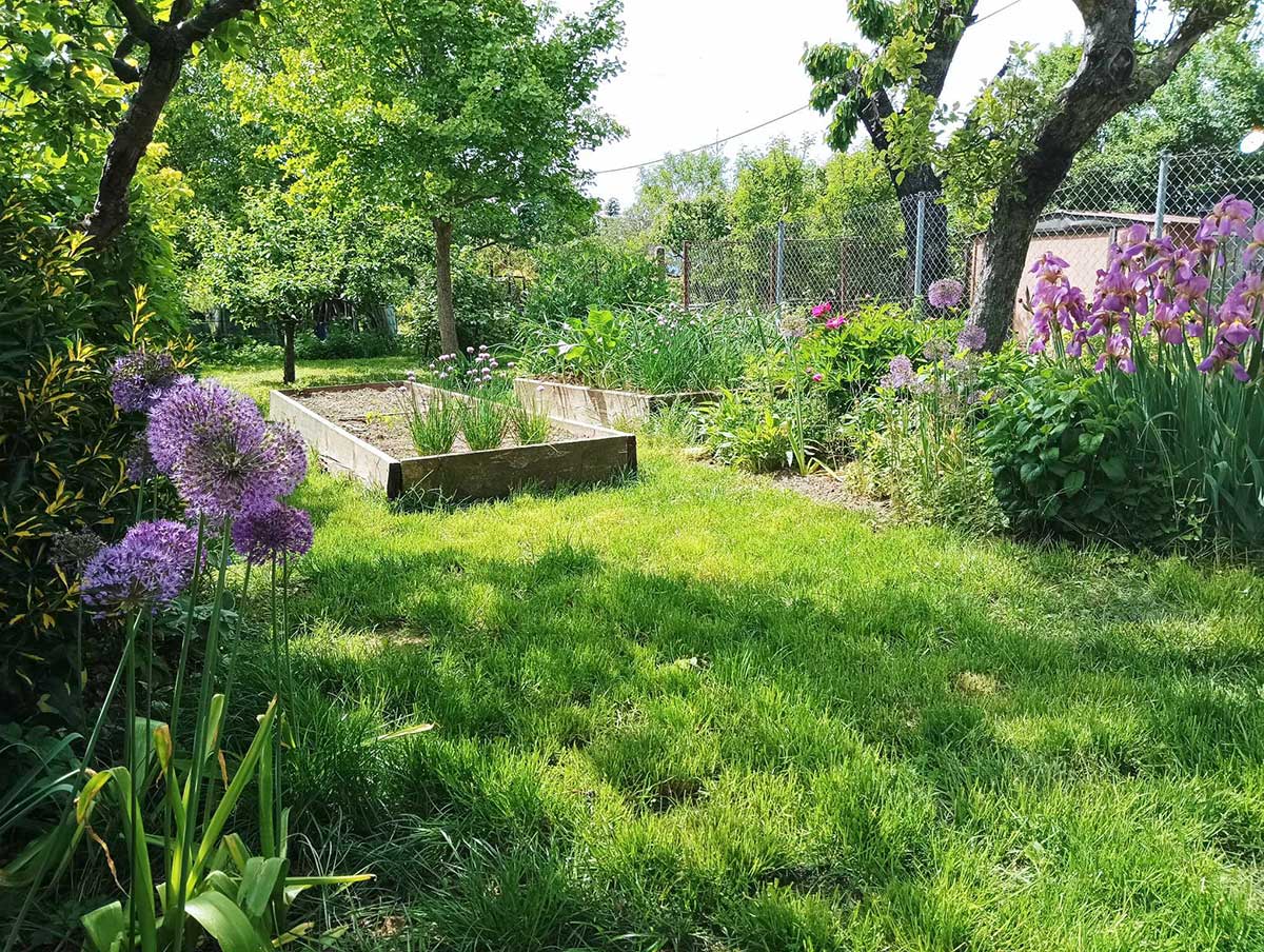 Záhrada s kvetmi, ovocnými stromami a v pozadí drevený vyvýšený záhon