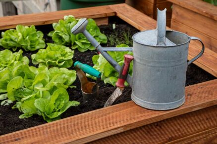 Tipy na pestovanie vo vyvýšených záhonoch