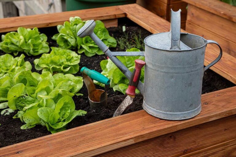 Tipy na pestovanie vo vyvýšených záhonoch