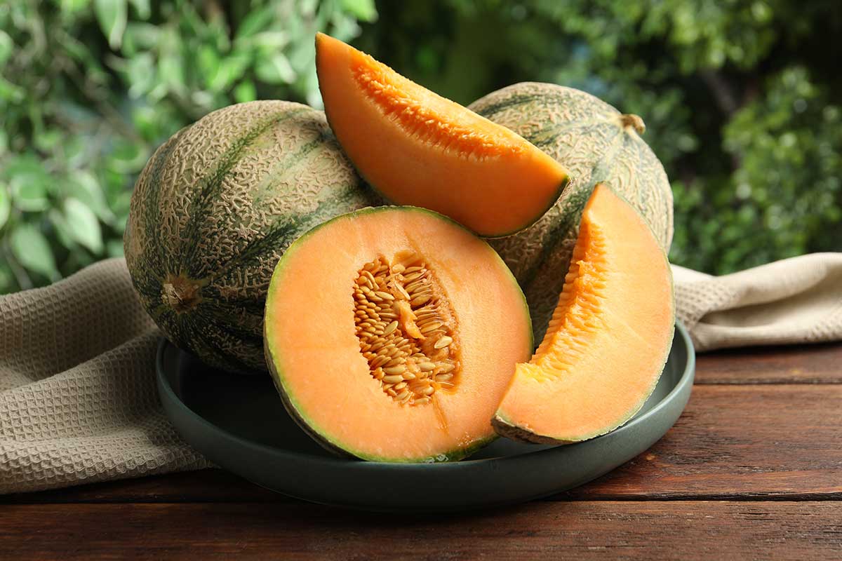 Melón cukrový