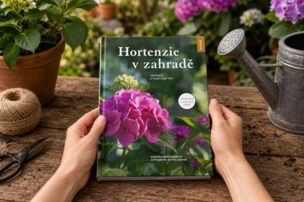Recenzia knihy Hortenzie v zahradě
