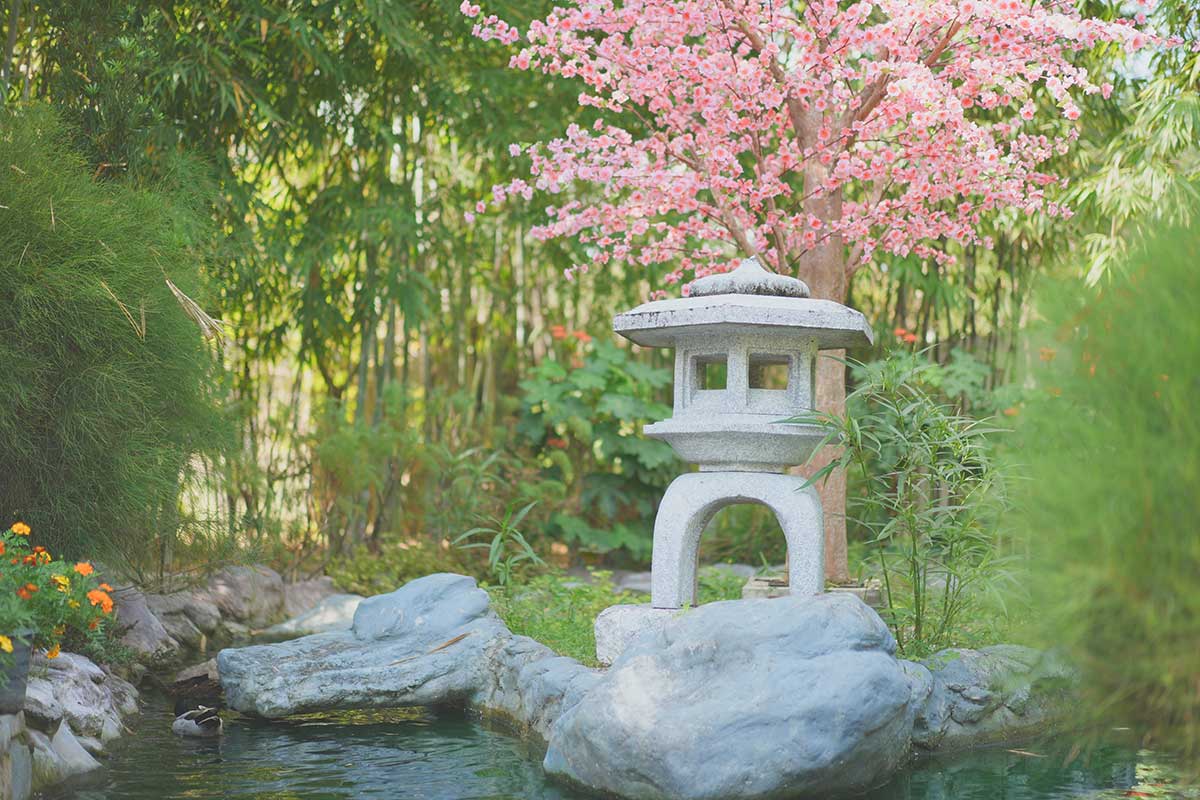Sakura a tradičné prvky v japonskej záhrade