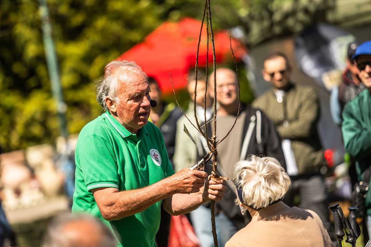 Eduard Jakubek ukazuje rez drevín na Festivale záhrad a hobby 2026