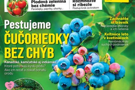 Titulná strana časopisu Záhrada 07-08/2026