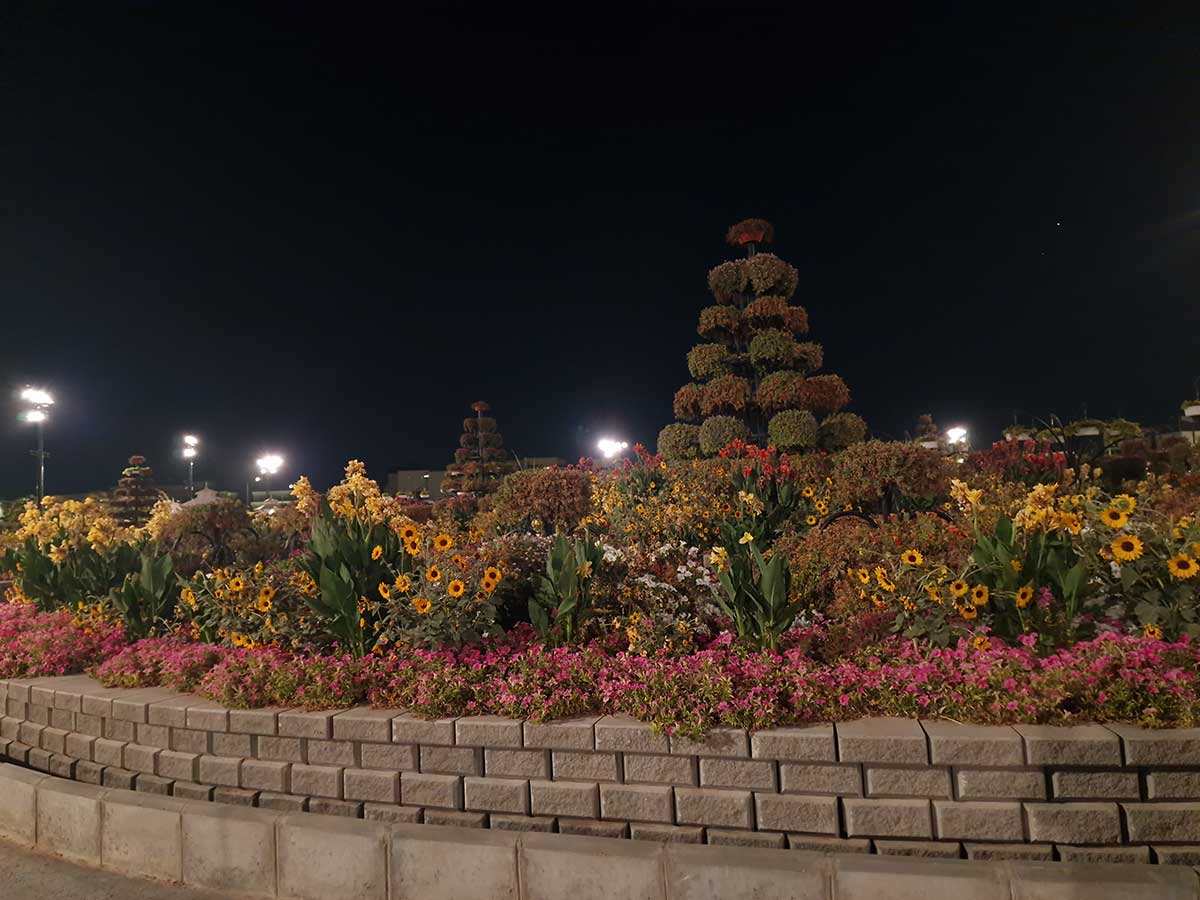 Kvetinové záhony na Boulevard Flowers v Saudskej Arábii