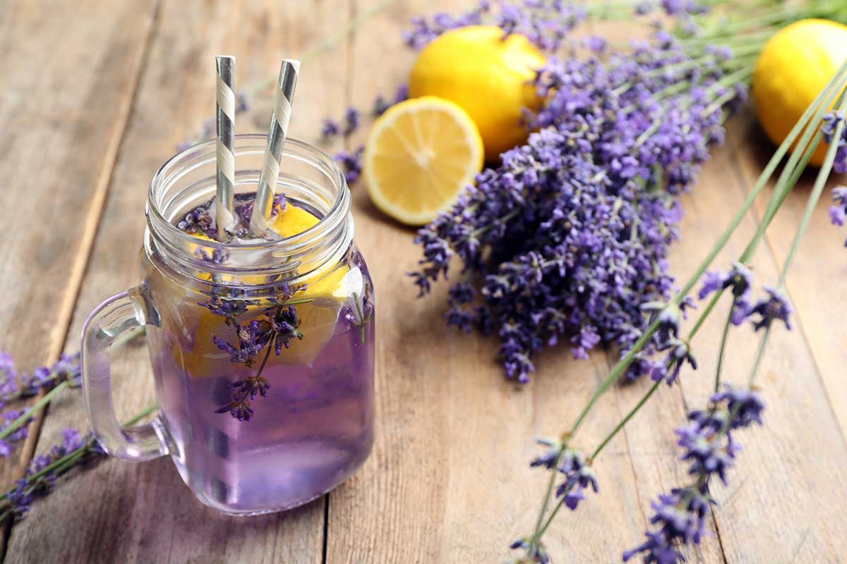 Levanduľová limonáda