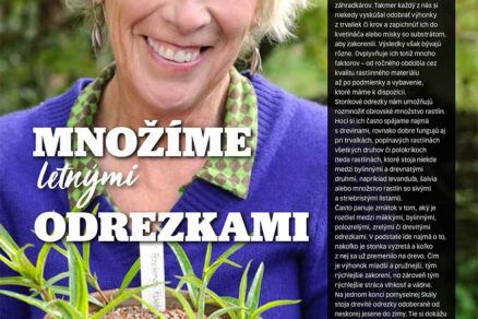 Článok Množíme letnými odrezkami v časopise Záhrada