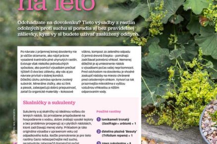 Článok Odolné výsadby na leto v časopise Záhrada