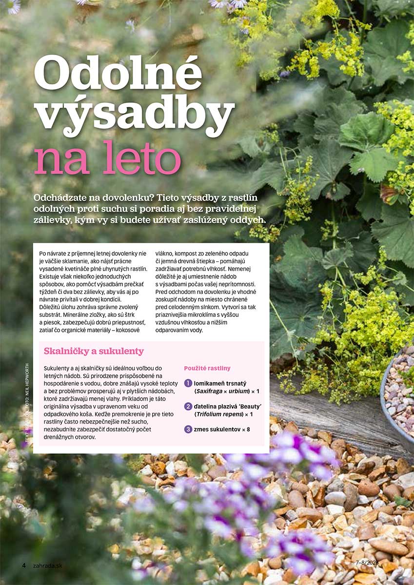 Článok Odolné výsadby na leto