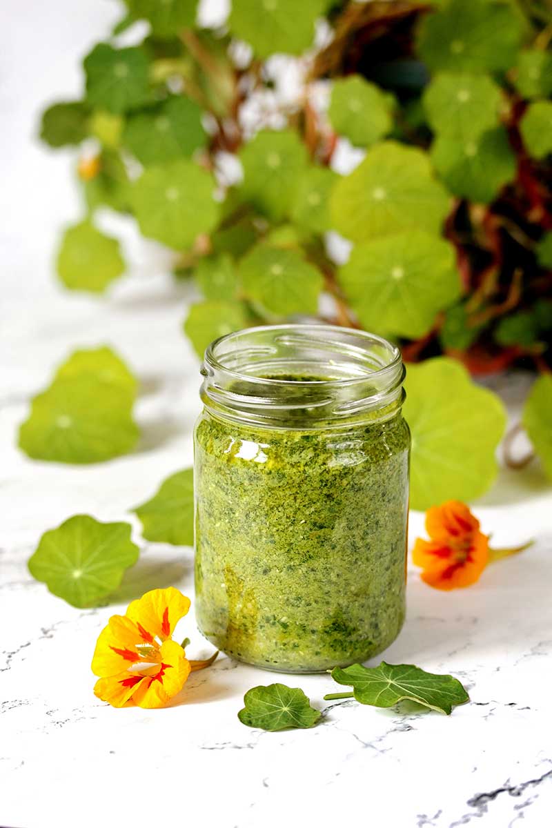 Pesto z listov a kvetov kapucínky