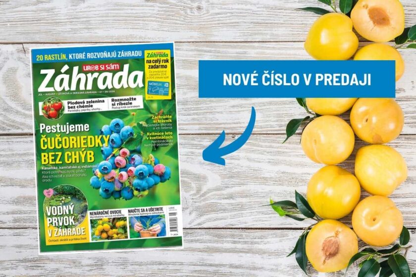 Časopis Záhrada 07-08/2026
