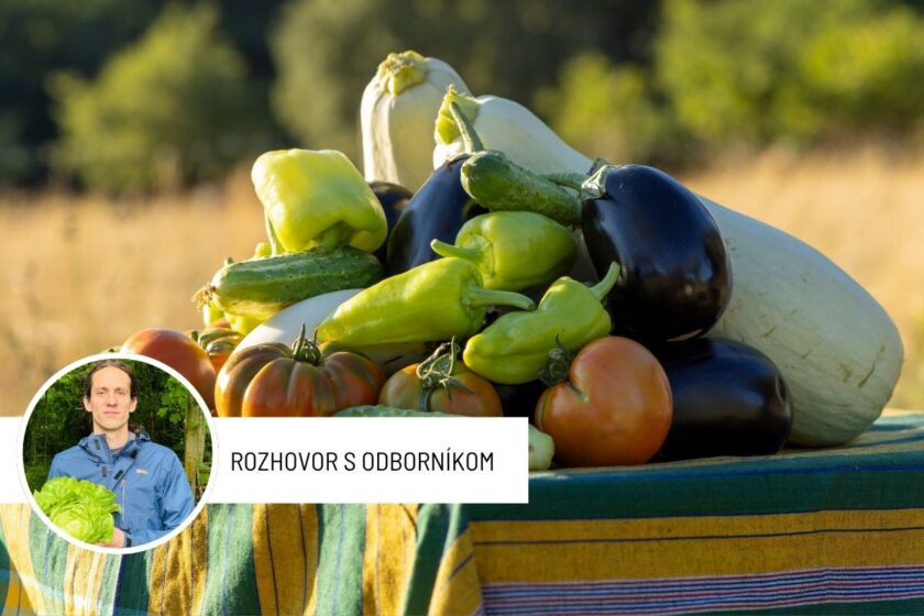 Pestovanie plodovej zeleniny bez chémie