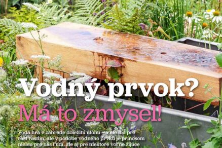 Článok Vodný prvok? Má to zmysel! v časopise Záhrada