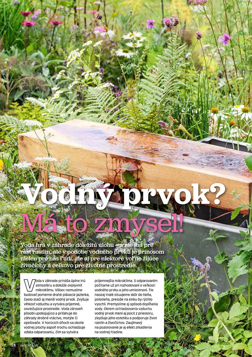 Článok Vodný prvok? Má to zmysel!
