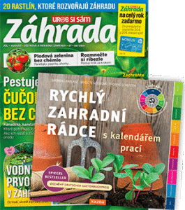 ZAHR plus RychlyZahrRadce 202606 v350