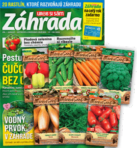 ZAHR plus semienka 202606 v350