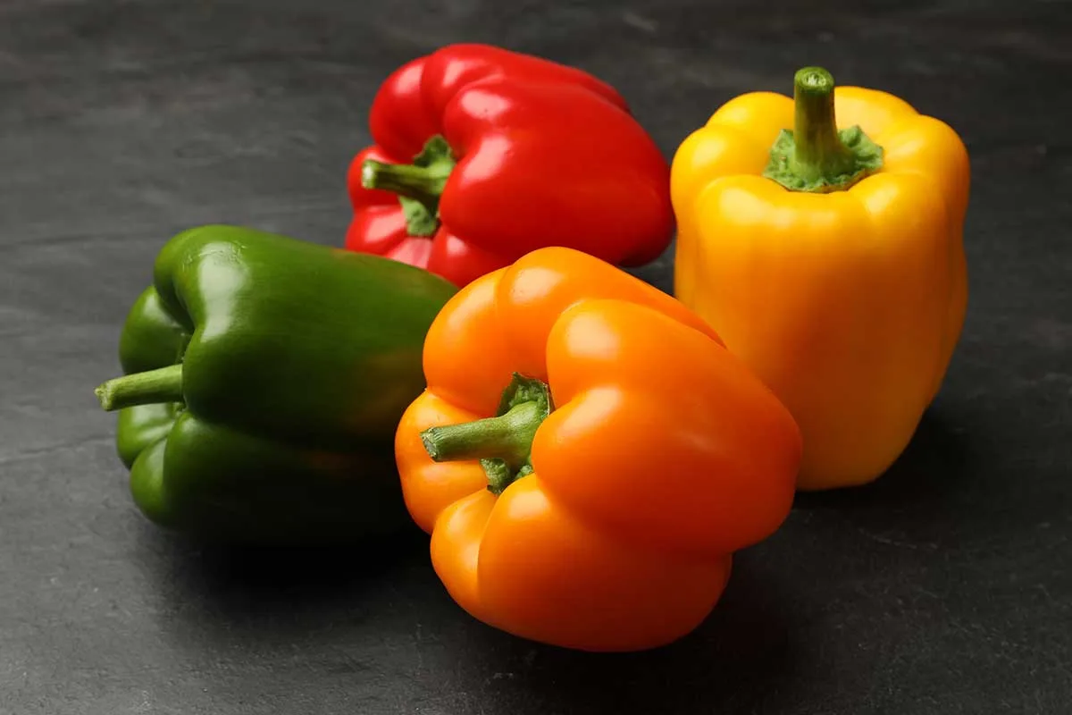 Paprika v štyroch farbách