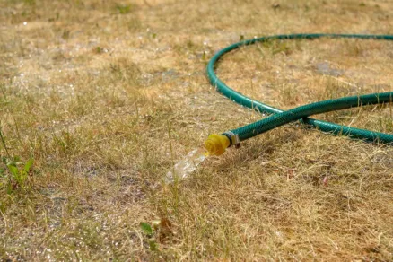 Záhradná hadica položená na zhnednutom trávniku