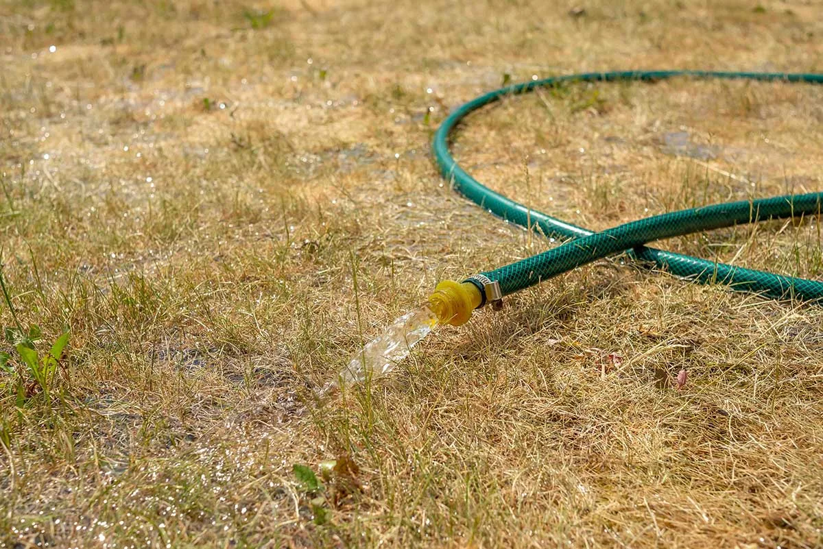Záhradná hadica položená na zhnednutom trávniku