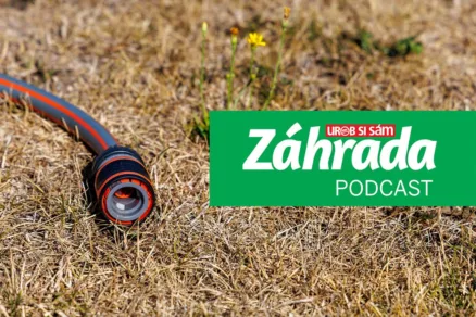 Podcast Záhrada o jesennej starostlivosti o trávnik