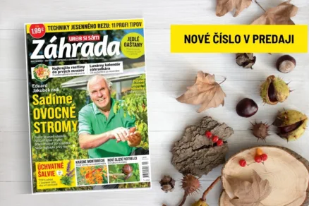 Časopis Záhrada 09-10/2026