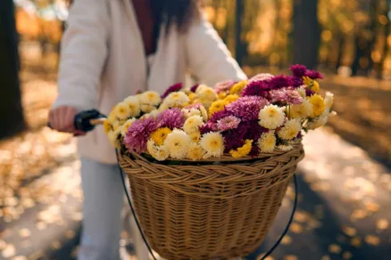 Žena na bicykli s košíkom plným chryzantém